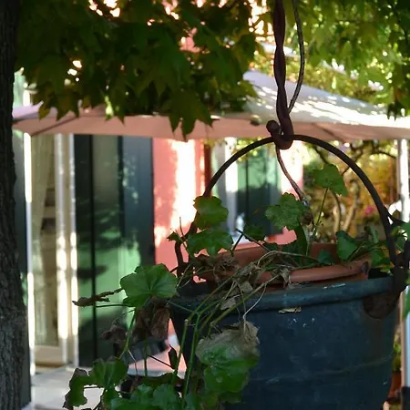 Vispa Venezia *