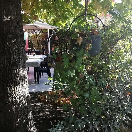 Vispa Venezia * マルゲーラ